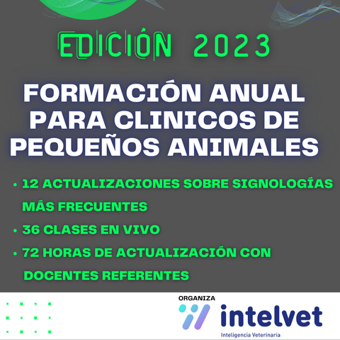 FINANCIAMIENTO EN 13 CUOTAS FIJAS: Formación Anual 2023 para Clínicos de Pequeños Animales
