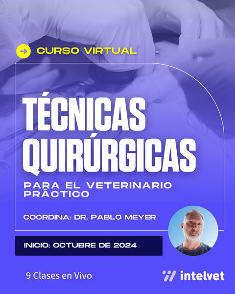 CURSO: Técnicas Quirúrgicas para el Veterinario Práctico