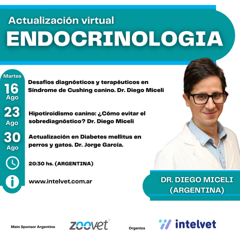 Actualización en Endocrinología a cargo del Dr. Diego Miceli