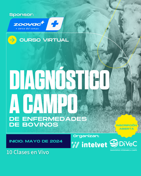 Curso: Diagnóstico a Campo de Enfermedades del Bovino – Edición 2024